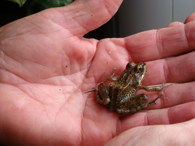 [025.JPG]