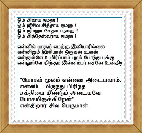 சிவசித்தர்வாக்கியம்