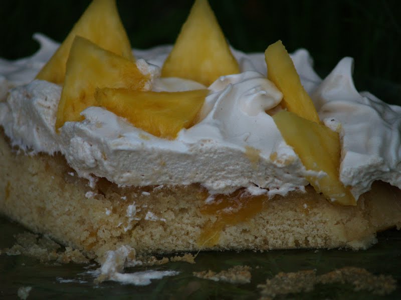 Best Pineapple Meringue Cake Best Pineapple Meringue Cake