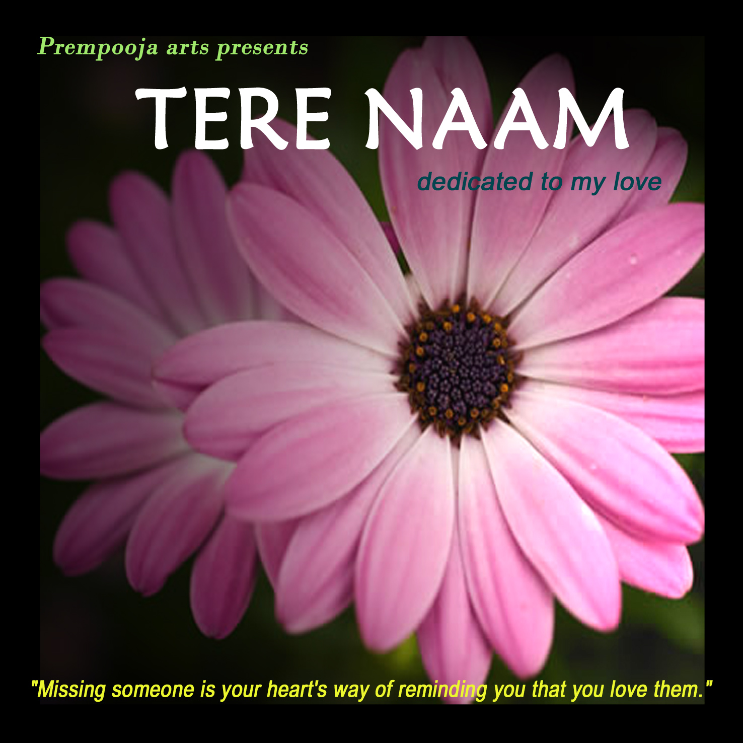 tere naam song list tere naam song list