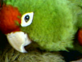 Me basta con su mirada.