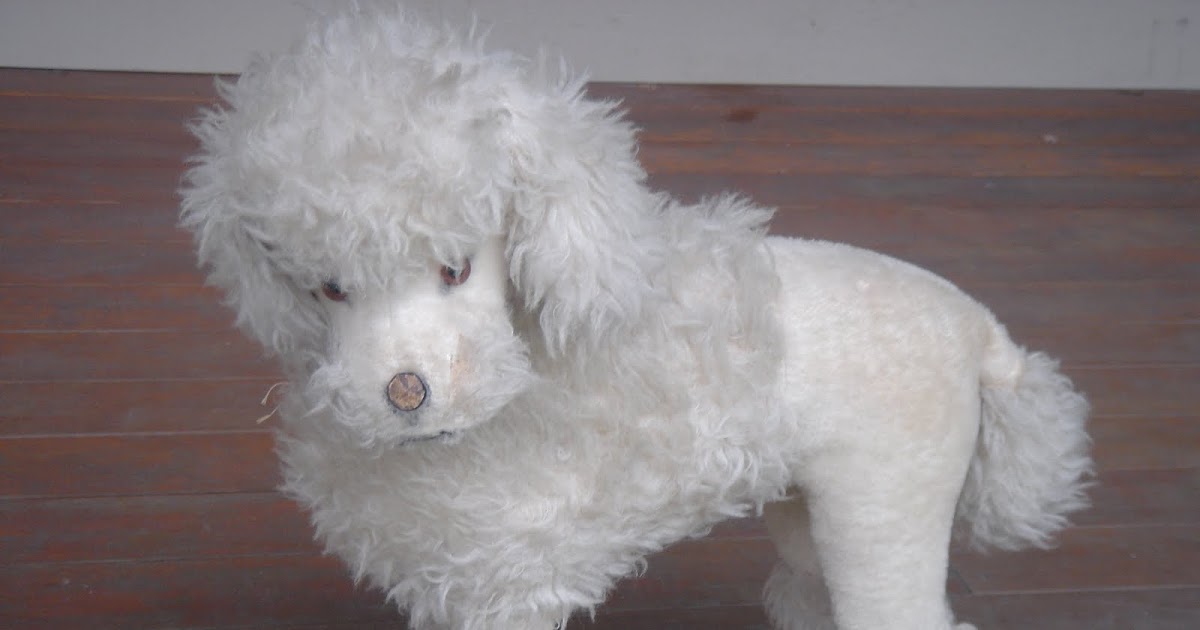 steiff poodle dog