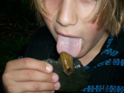 The Cult of the Banana Slug