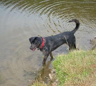 Pond Paddling