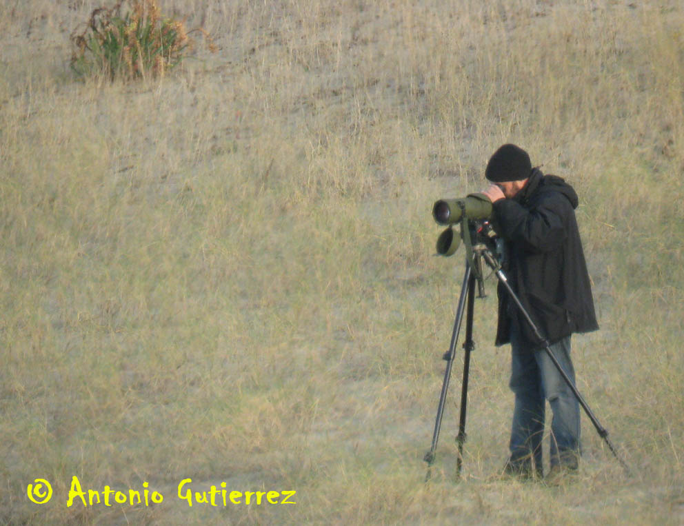 [IMG_3230_copia.jpg]