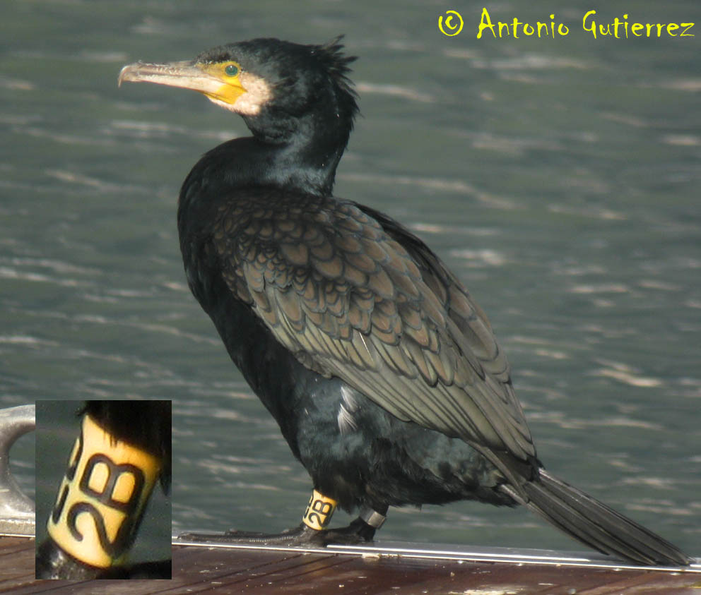 [IMG_4713+copia.jpg]