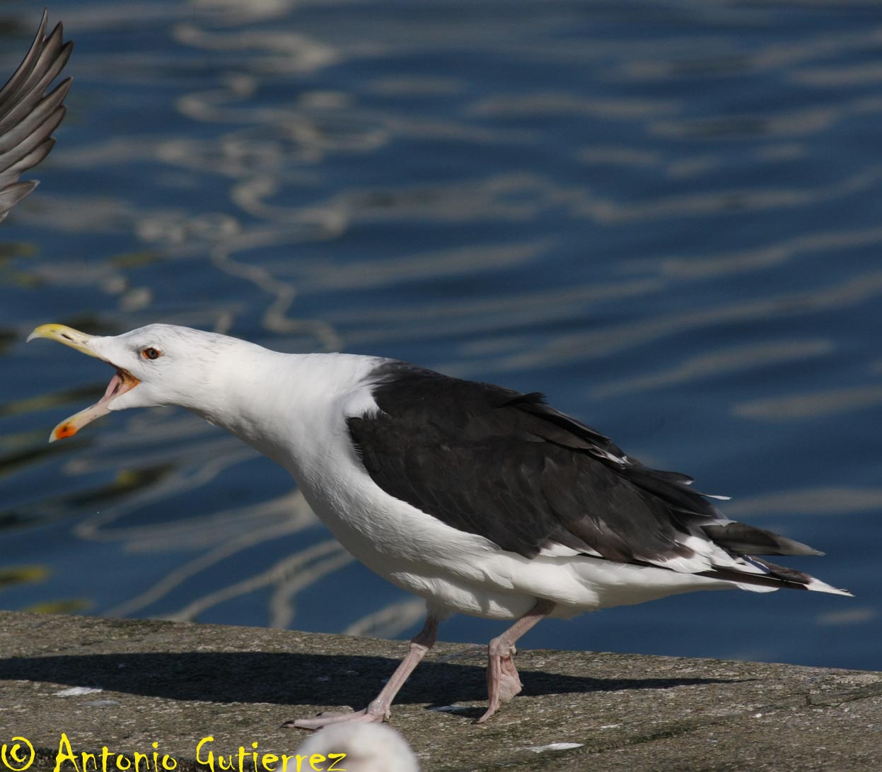 [IMG_5138+copia.jpg]