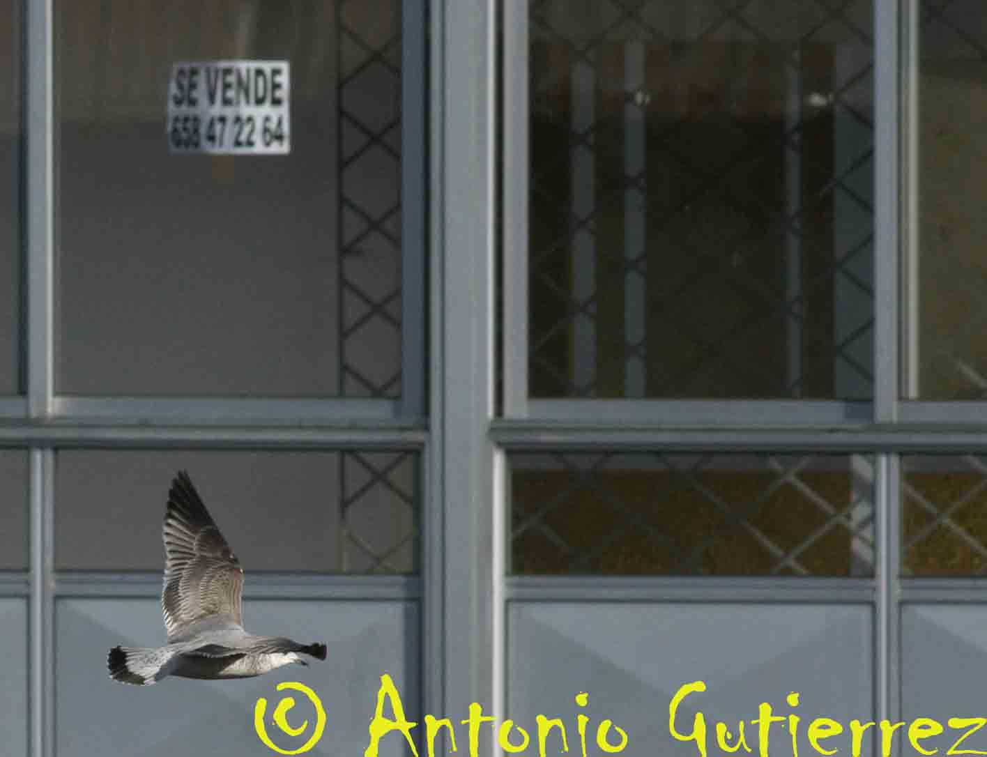 [IMG_6690+copia.jpg]