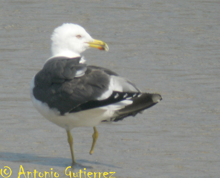[IMG_5957+copia.jpg]