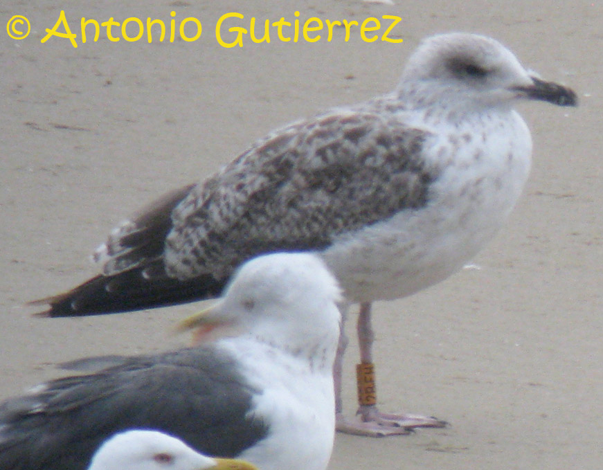 [IMG_3837+copia.jpg]