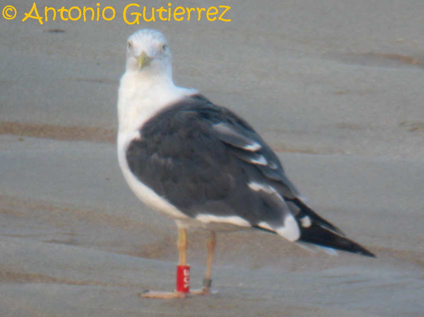 [Imagen0010+copia.jpg]