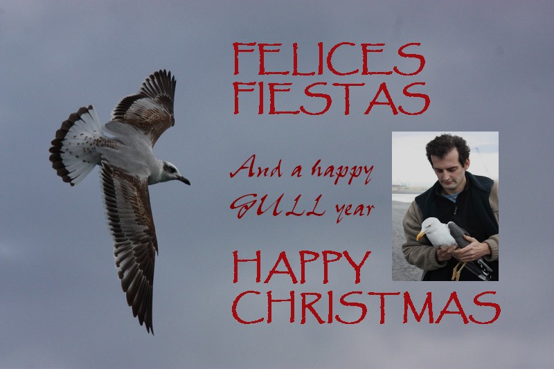 [FELICES+FIESTAS.jpg]