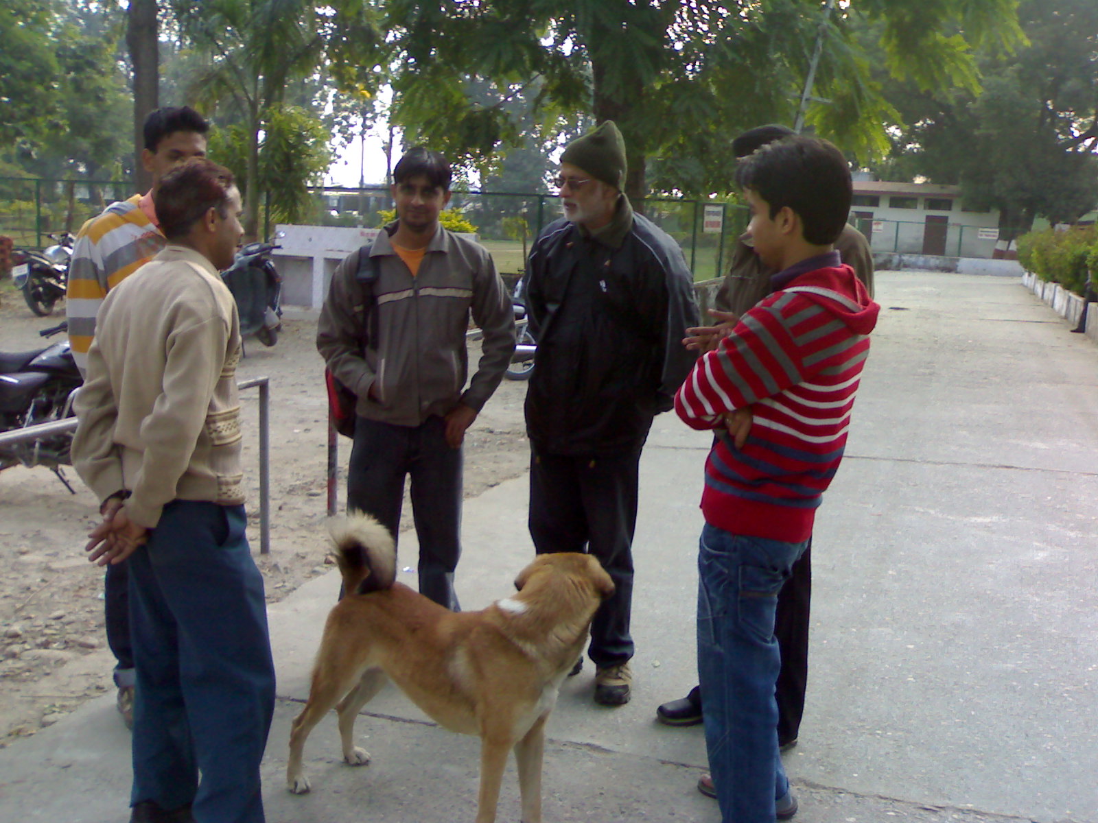[20122009071.jpg]