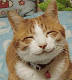 cute%20kitty.jpg