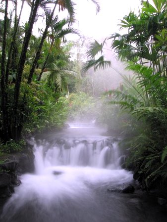 Hot Springs In Costa Rica