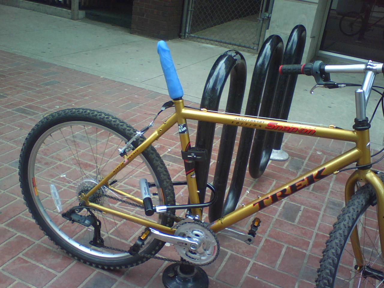 dildo%2Bike.jpg