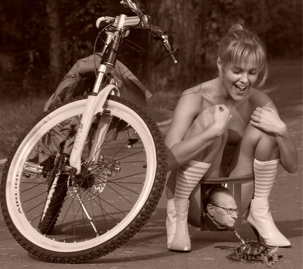 [turtle+sepia.jpg]