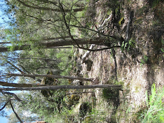 Granya Falls - Mount Granya State Park – Granya – Victoria