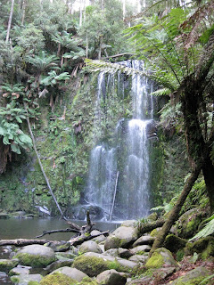 Beauchamp Falls - Great Otway National Park - Lavers Hill - Victoria