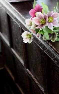 [IMG_1779.JPG]