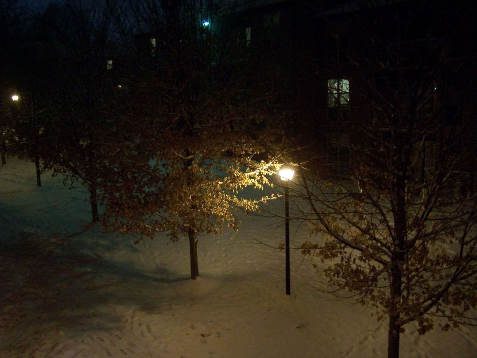 [First+Snow+003.jpg]