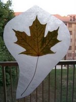 [Leaf_Pressing_020.jpg]