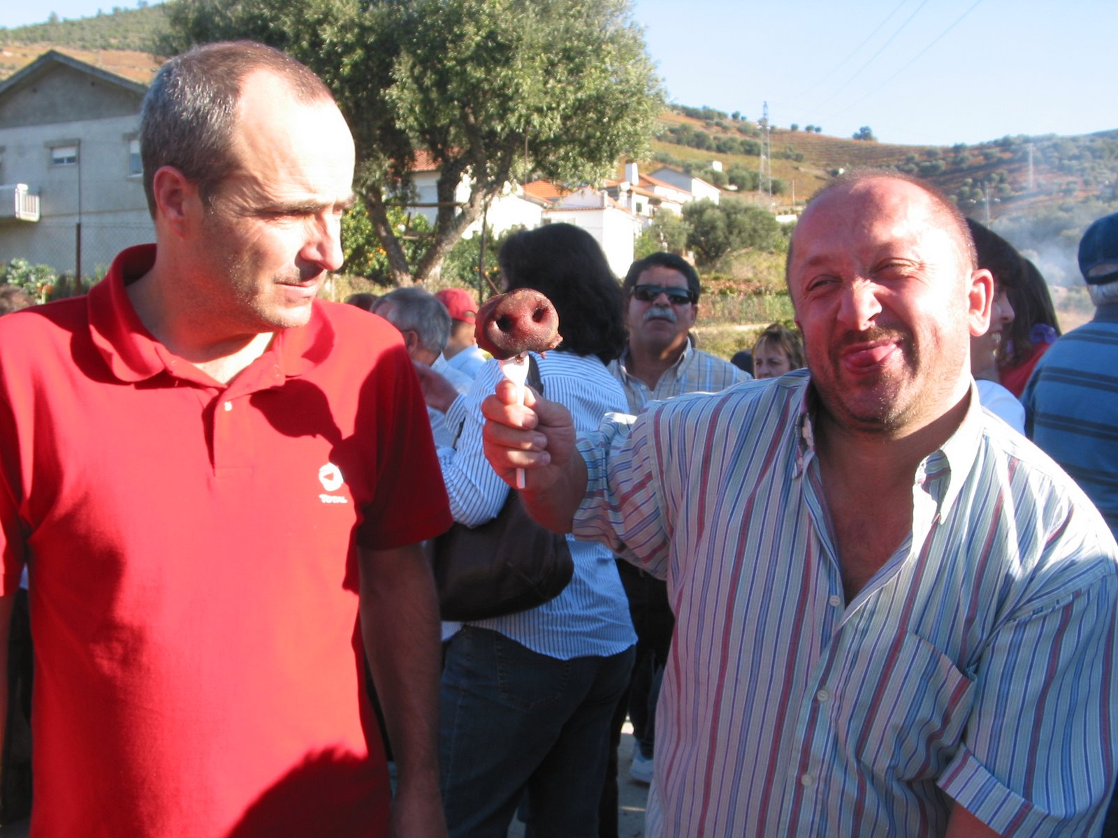 [IMG_8451.jpg]