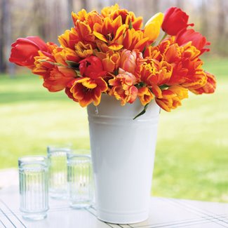 [orange-tulips-0507-fb.jpg]