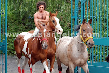 Hasta los caballos te adoran ♥