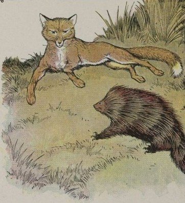 [foxhedge.jpg]