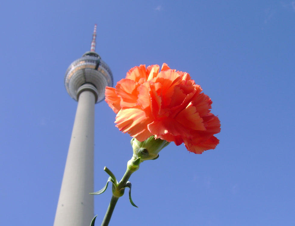 [DSC03052.JPG]