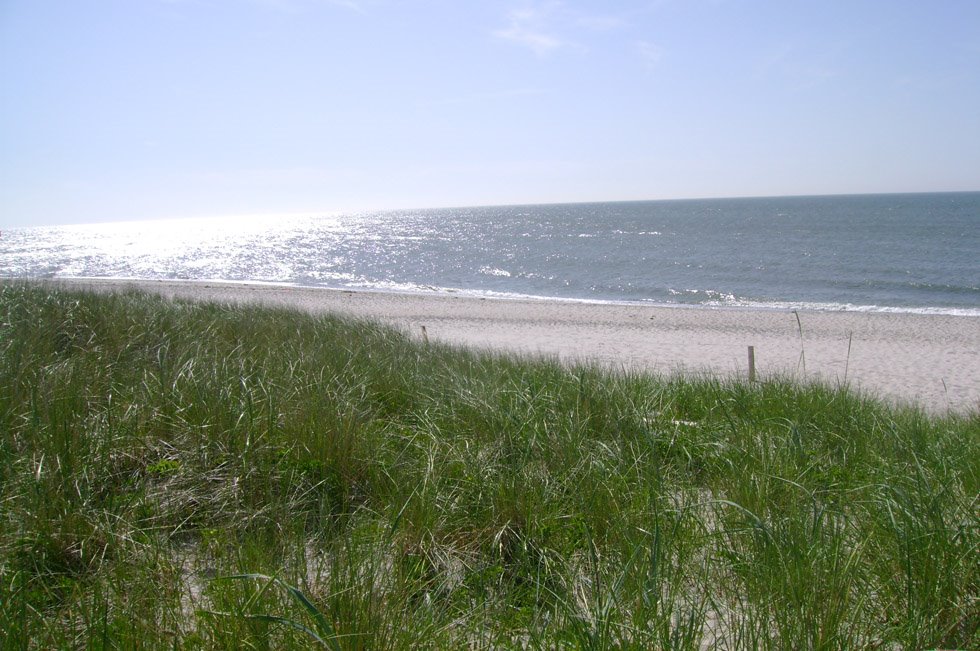 [DSC05366.JPG]