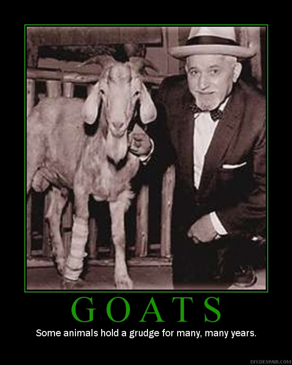 [goatsbn0.jpg]
