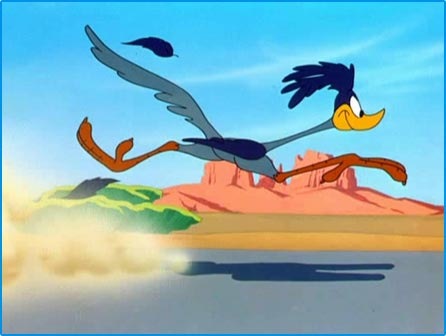 [road-runner.jpg]
