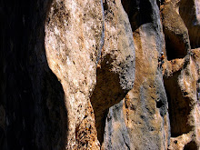 Pareti nelle Gorge Du Verdon