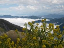 La Durance