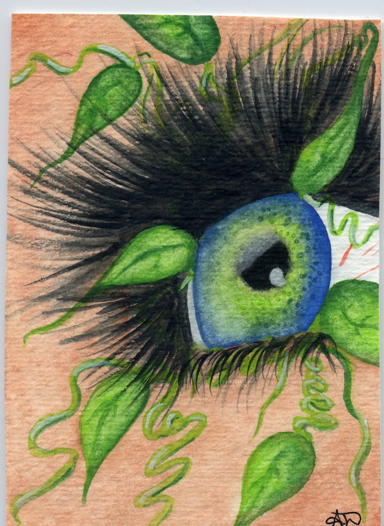 Art of Alicia Drollinger Surreal Eyes and Butterflies