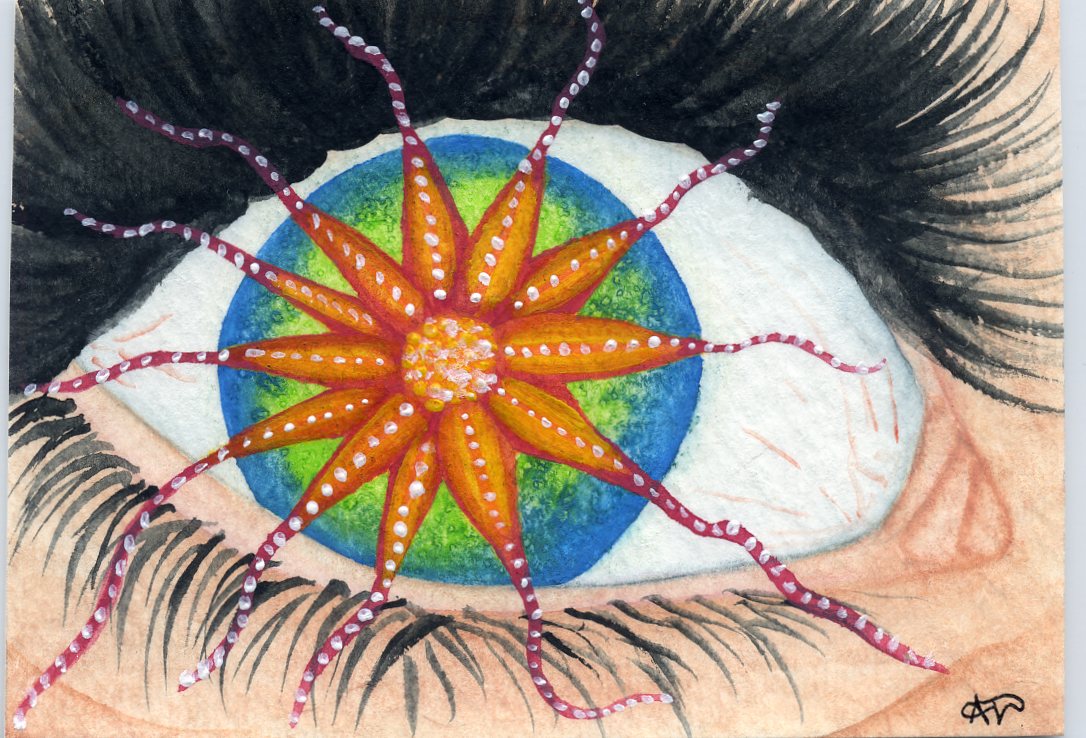 Art of Alicia Drollinger Surreal Eyes and Butterflies