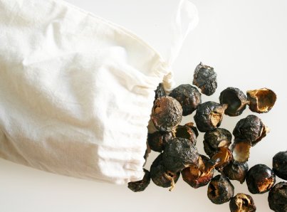 [Bobe+soap+nuts.jpg]