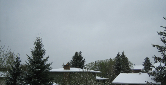 [Snow+on+May+19th.jpg]