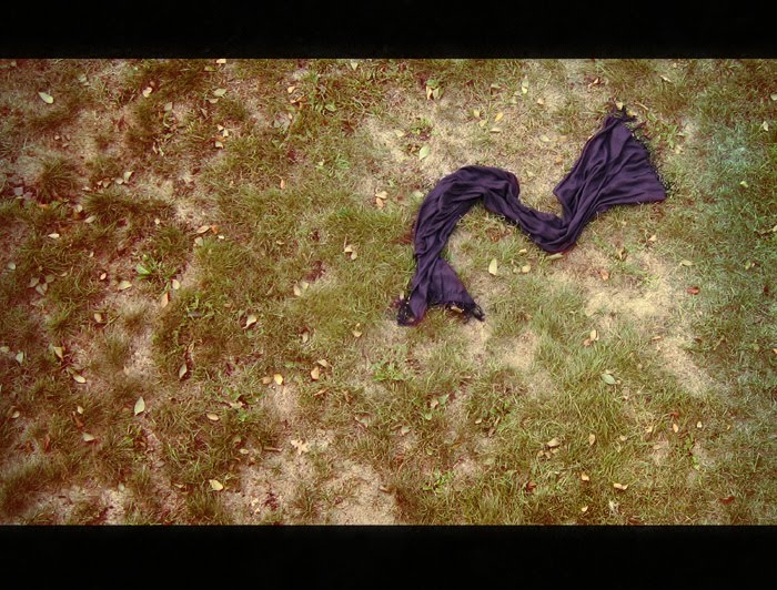 [Set+One+(1-2)A.jpg]