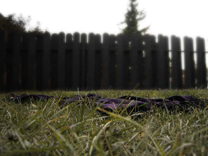 [Set+One+(7-2)A.jpg]