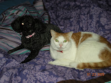 My Babies : Tia & Mr. Woody