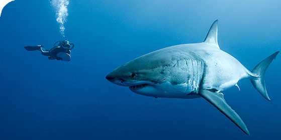 [11_633408468627137452.jpg]