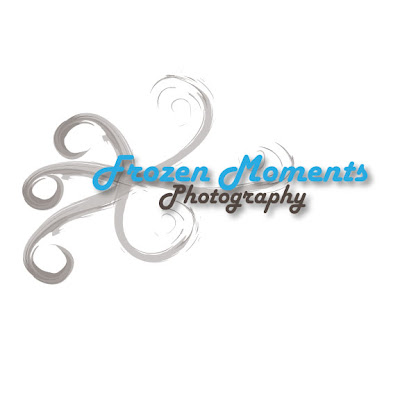 Frozen Moments Photography: Logo Ideas