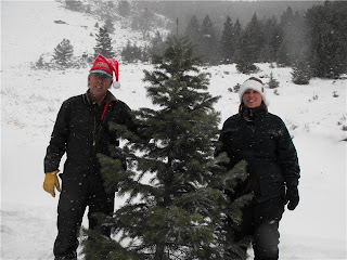 Christmas tree at Louis Lake, WY