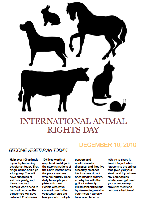 Thoughts on Animal Cruelty: International Animal Rights Day