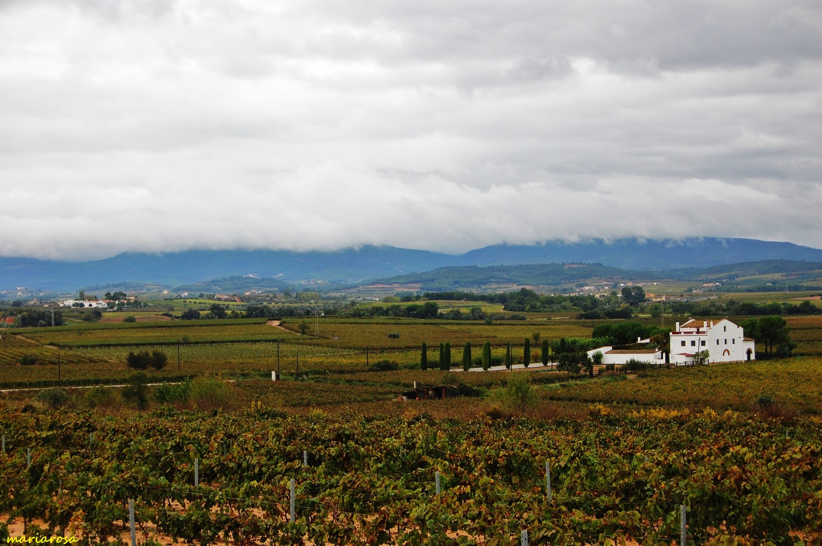 LA GRANADA DEL PENEDES la granada del penedes: