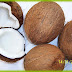 Coconut has many health benefits