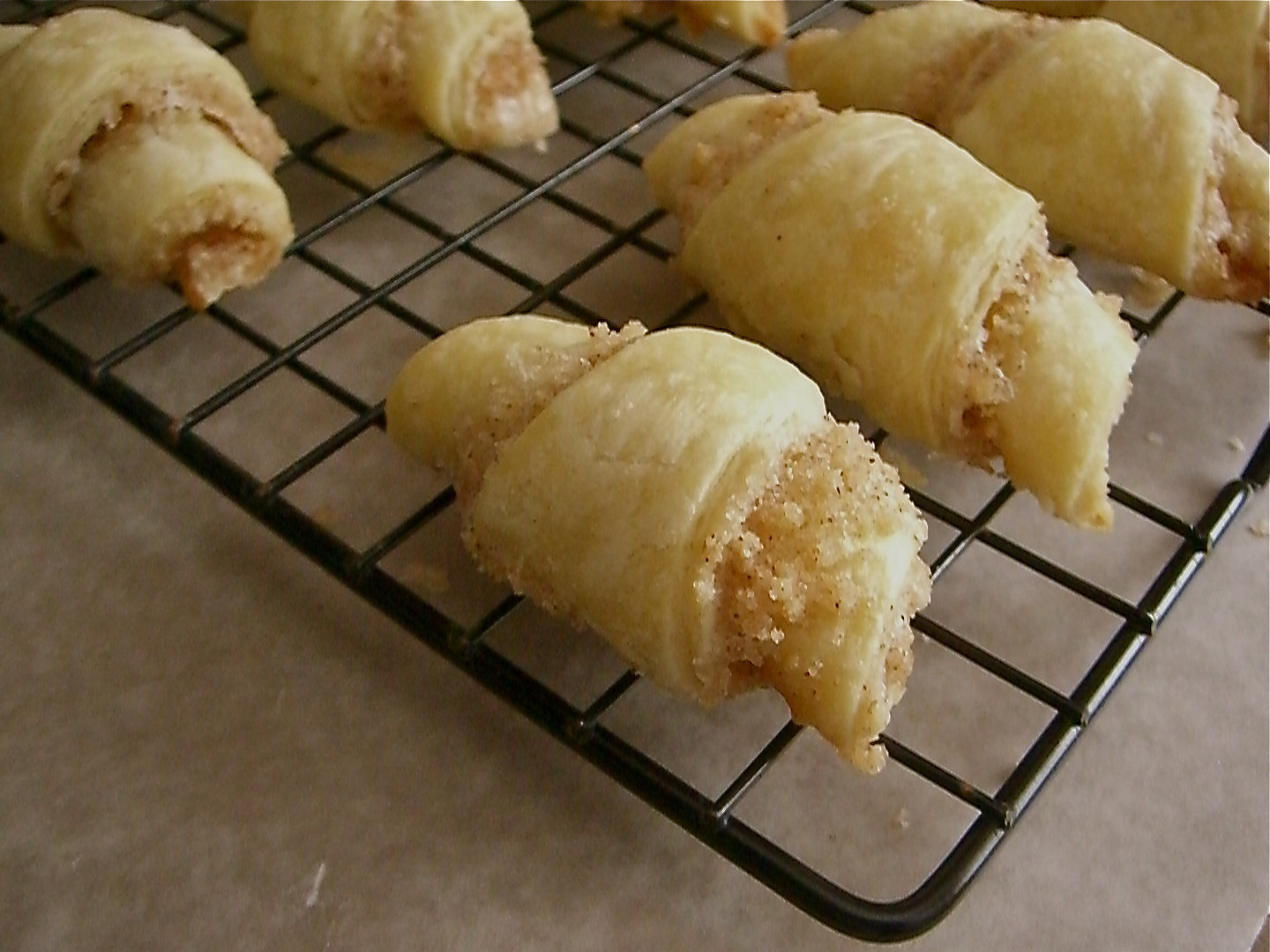 Grandma's Butter Horns Lauren's Latest